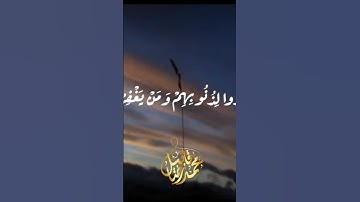 وَمَنْ يَغْفِرُ الذُّنُوبَ إِلَّا الله - #تلاوة_خاشعة #القارئ_محمد_رضا_قابيل #قران_كريم