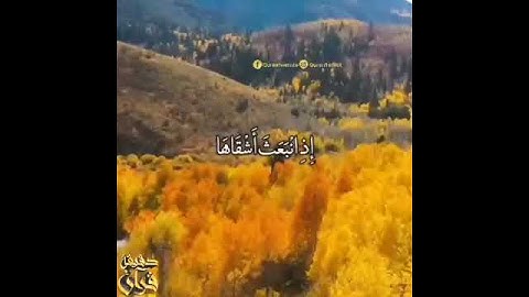 سورة الشمس بصوت جميل