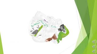 Matter And Energy  - Things Around Us  - Grade 6 Science