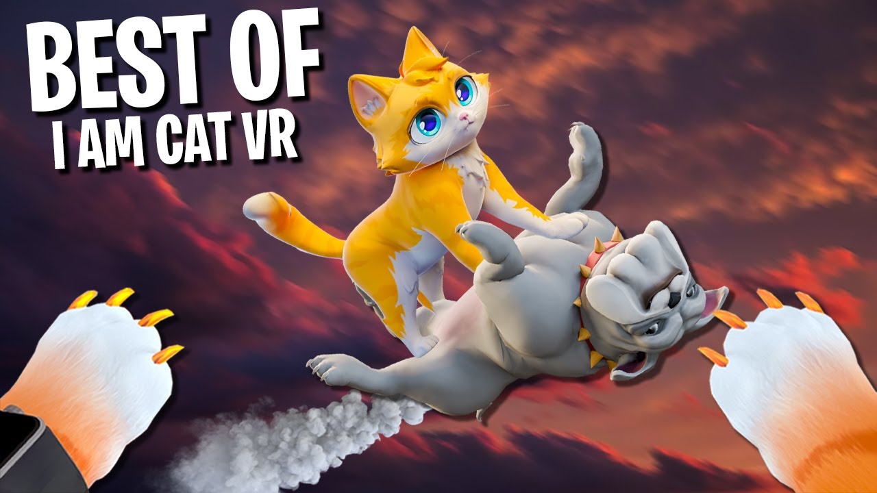 The BEST of I AM CAT VR︱Volume 1 - YouTube