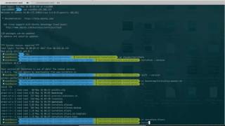 Deploying a specific kubernetes version for testing on OpenStack with Terraform