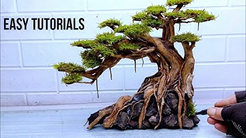 How To Make a Bonsai Trees for Aquascape | Aquarium