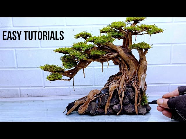 How To Make a Bonsai Trees for Aquascape | Aquarium - YouTube