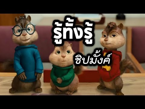 รู้ทั้งรู้ ชิปมั้งค์