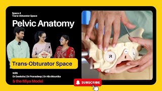 Pelvic Anatomy | Episode 04 | Trans-Obturator Space | Obturator Space