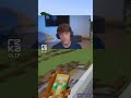 Donut SMP's Charming Village Roller Coaster
