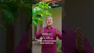 Download Lagu Ya Robbi Bil Musthofa | Haddad Alwi MP3