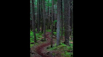 directory submission seo - MPS AUTO WEBSITE SUBMITTER