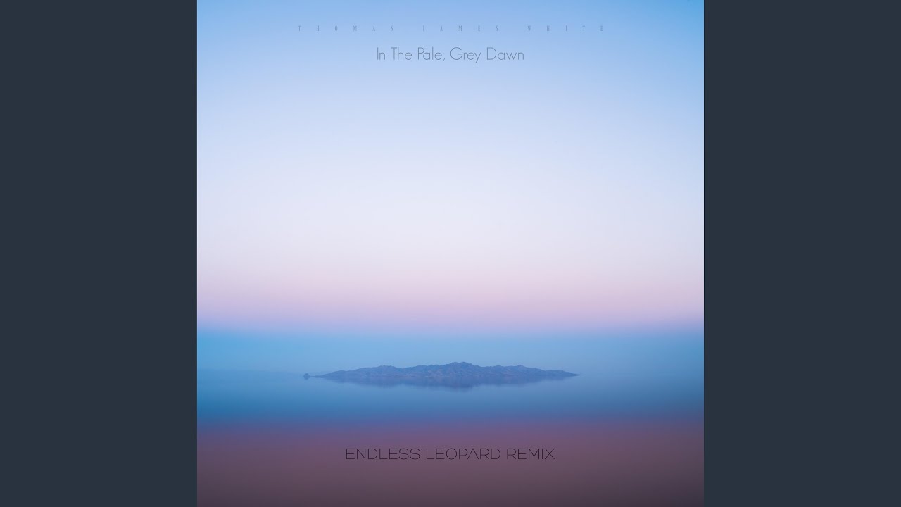 In the Pale, Grey Dawn (Endless Leopard Remix)