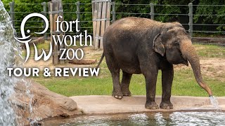 Fort Worth Zoo Tour & Review | Ranked Best Zoo in Texas & Among Top Zoos in North America