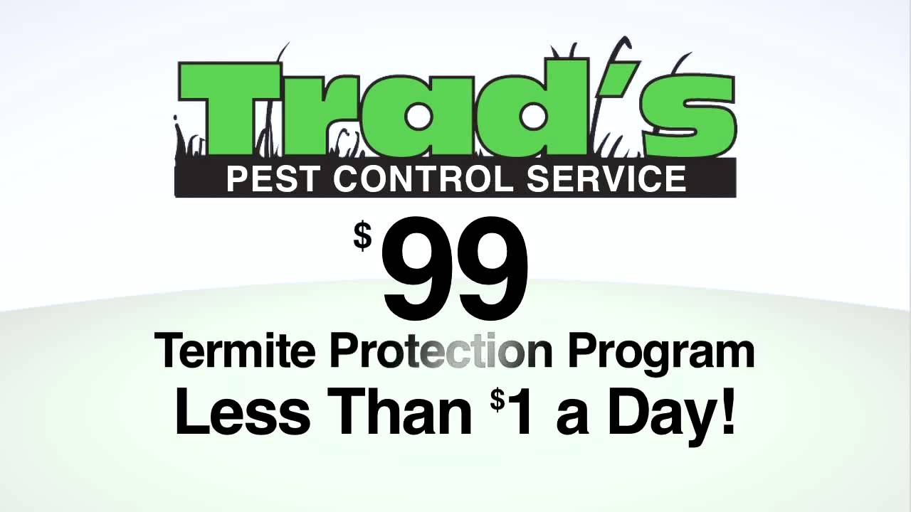 TRAD's PEST CONTROL YouTube