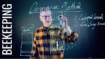 Demaree-methode voor bijenhouden: hoe voorkom je dat een bijenvolk gaat zwermen?