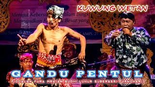 GANDU PENTUL FT CAMPURWANGI KUWUNG WETAN