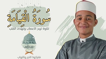 سورة القيامة ✨❤️ تلاوة خاشعة تملأ القلب بالسكينة 📖✨