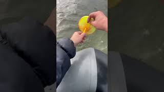 Охота на щуку #fishing #рыбалканаозере #рыбалка #щука #наживца #поклевка