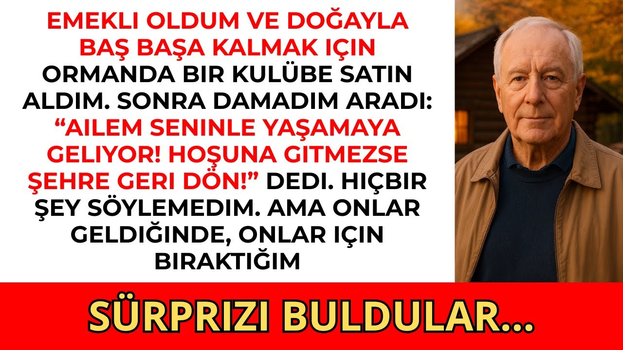 Damadım ailesini ormandaki yeni evime taşımak istedi, ben de onlar için bir “sürpriz” hazırladım.