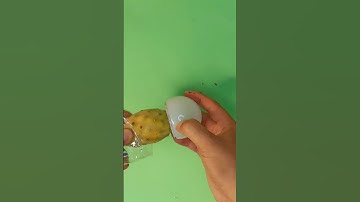 How to peel prickly pear 🏜