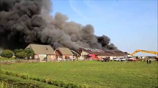 Bijna 1500 varkens omgekomen bij grote brand in Streefkerk.