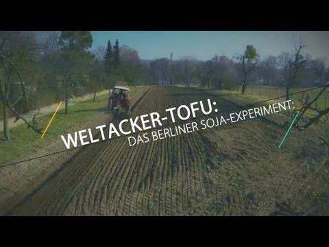 Weltacker-Tofu: Das Berliner Soja-Experiment