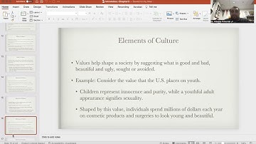 Introduction to Sociology: Chapter 3-Culture