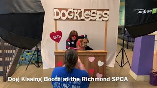 Dog Kissing Booth at the Richmond SPCA