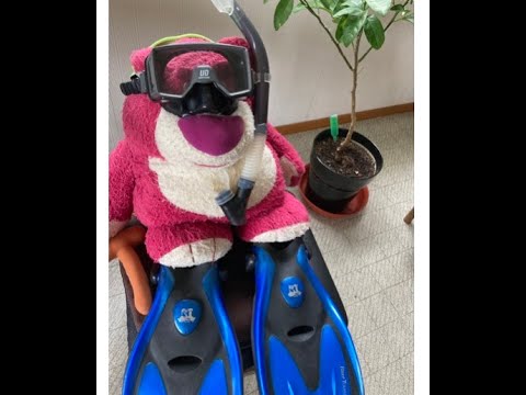 summer 　久石譲