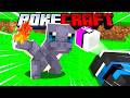 CERCO "CHARMANDER SHINY" NEL MIO MONDO - PokeCraft Ep. 59