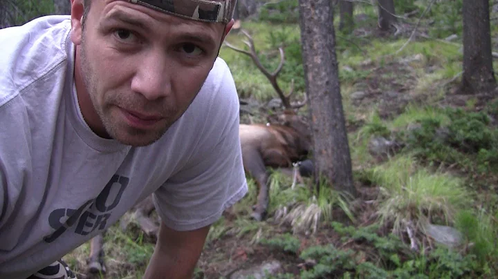 S:7 E:3 DIY Public Land Montana Hunts for Elk, Mul...