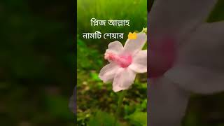 সবাই আল্লাহর নামটি শেয়ার করুন ।#আল্লাহু_আকবার #আল্লাহ #allah #allah #allahuakbar