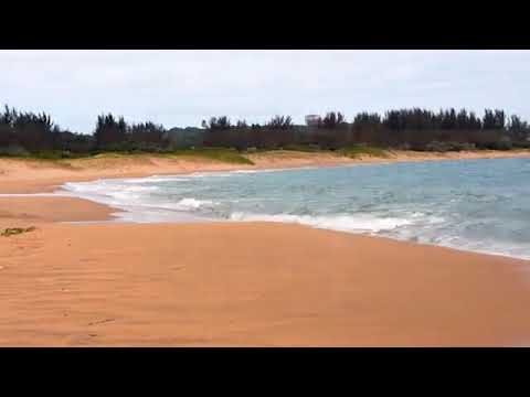 Igcokama Elisha  - Malavisto (Official Music Video)