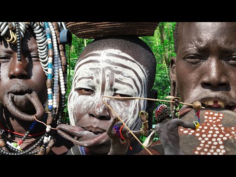 Video: Kwa nini kaunta za Kirusi zimejaa mboga zilizoagizwa kutoka nje?
