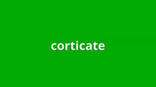 what is the meaning of corticate