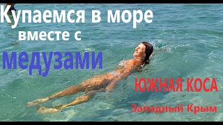 Купаемся в море вместе с медузами. Южная коса, п. Мирный, Западный Крым.