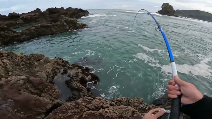SNAPPER  PROSPECTING