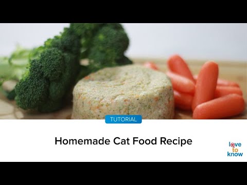Homemade Cat Food - YouTube