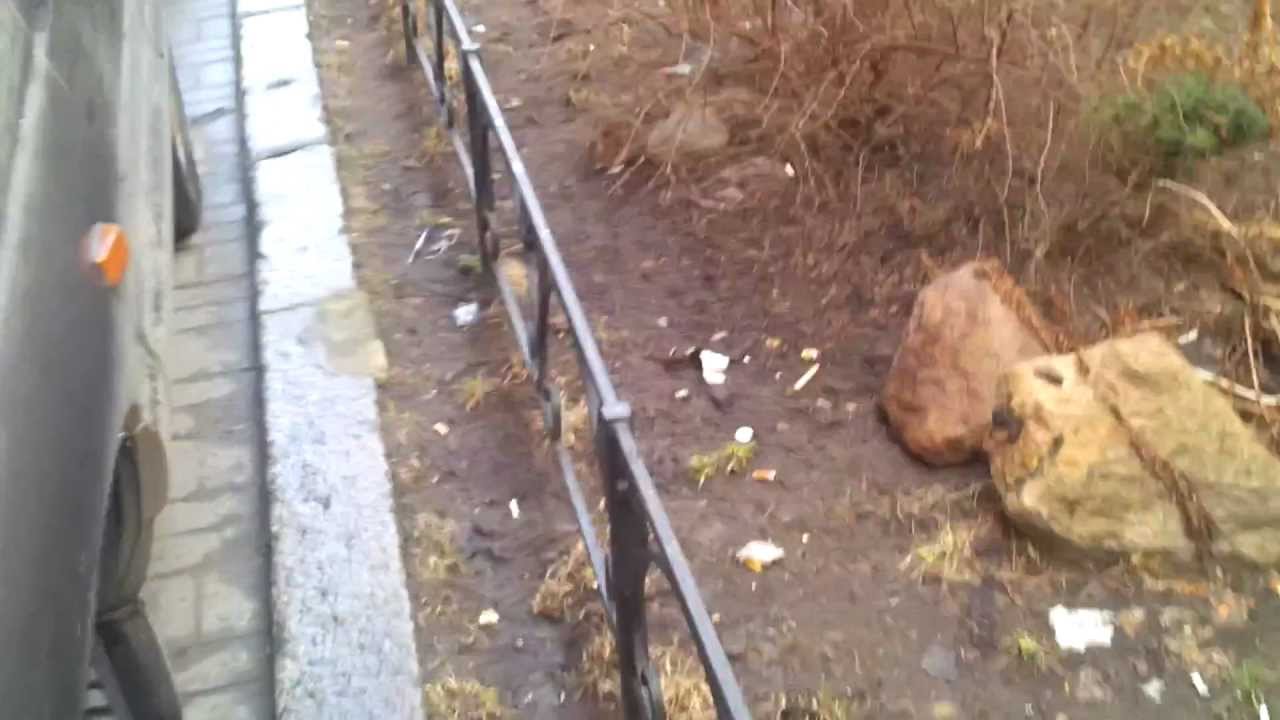 огромные крысы в метро москвы фото онлайн огромные крысы в метро москвы фото