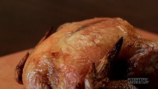 Cook the Perfect Turkey with Chemistry