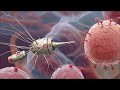 NDV GT, a new cancer therapy by "tagging" cancer cells to the immune system