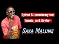 Cyfred & LeeMcKrazy - Sakaa Malume (Official Audio) feat. Sayfar