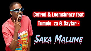 Cyfred & LeeMcKrazy - Sakaa Malume (Official Audio) feat. Sayfar