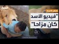 صباح العربية أول تعليق من صاحب فيديو إطلاق الأسد على مصري في ليبيا 