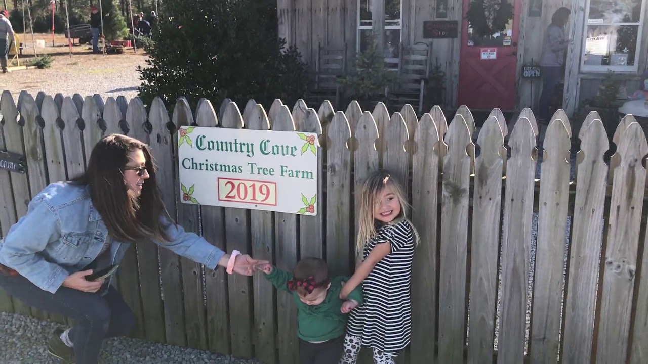 Christmas Cove 2019 YouTube