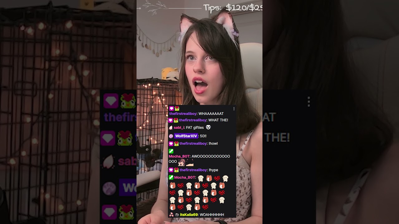 Kitty streamer loss for words #HayzelBlossom on #twitch