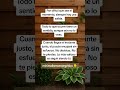 Todo lo que ocurre tiene un sentido. #minimalismoenergético #frases #crecimientopersonal #amor