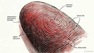 Biometric Security: The Strategic Showdown