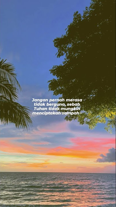 Story WA Lagu Line without a hook #storywa #shorts #sunset