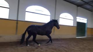 P1020628