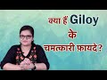 गिलोय (Giloy) के अध्भुत फायदे | Giloy Benefits