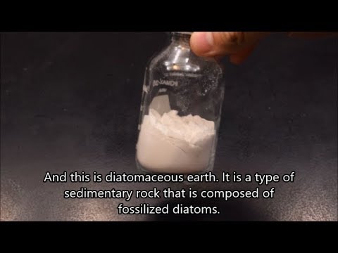 Diatomaceous Earth under the microscope