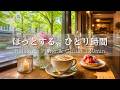 【癒しBGM】新緑カフェでほっとするひとり時間🌿 心落ちつく穏やかなひととき｜Relaxing Piano & Guitar 120min｜リラックス・読書・勉強・作業用音楽